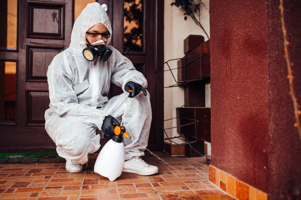 Reliable Mosquito Control contractor in Canaan, CT by Show Me Pest Control